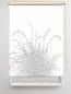 Preview: Rollo Reed24 lichtgrau blanco  - Sichtschutz Extartiqe